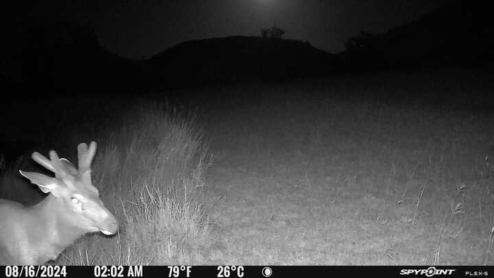 2242 Patterson Creek Road Leakey, TX 78873 - Photo 67 of 72 Gallery Image 67