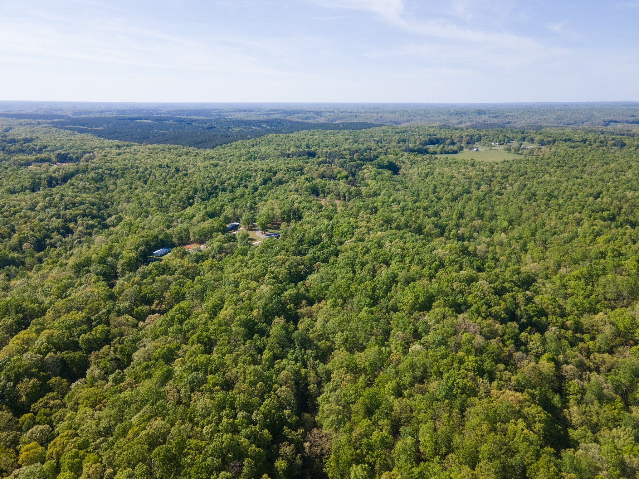 5147 Spears Road Centerville, TN 37033 - Photo 35 of 40 a view of a lush green forest with trees in the background