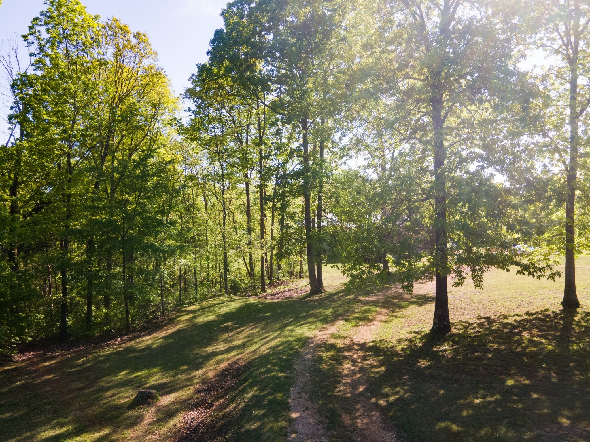 5147 Spears Road Centerville, TN 37033 - Photo 9 of 40 a view of backyard with green space