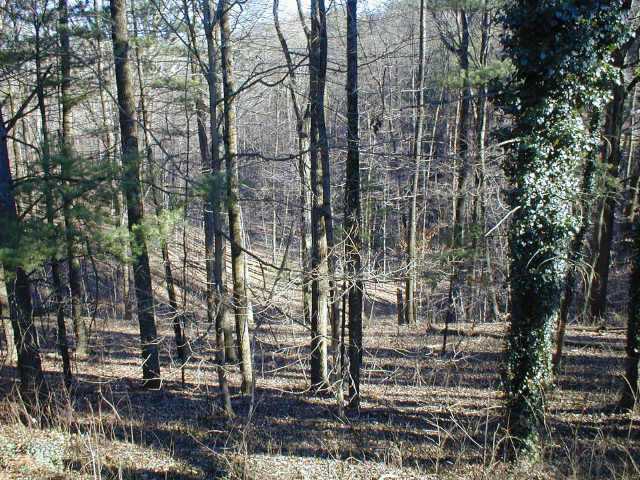 4650 Beach Road Glouster, OH 45732 - Photo 3 of 5