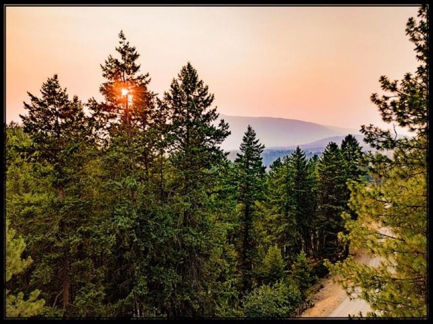 Tbd Potters Road Kettle Falls, WA 99141 - Photo 12 of 17 Gallery Image 12