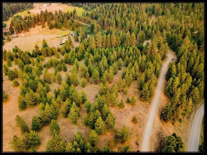 Tbd Potters Road Kettle Falls, WA 99141 - Photo 10 of 17 Gallery Image 10