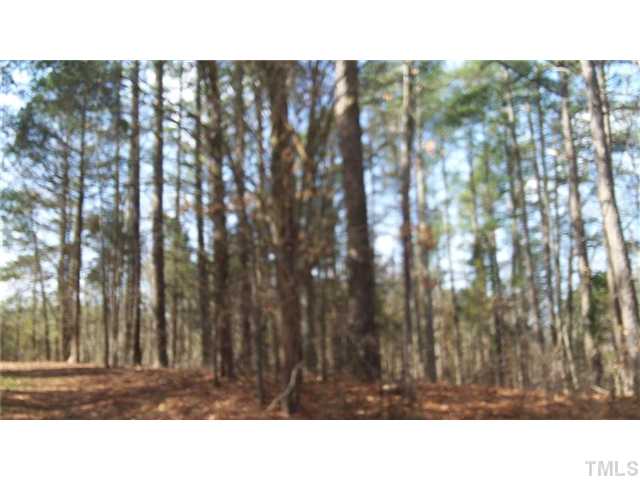 2066 Hester Road Creedmoor, NC 27522 - Photo 14 of 22 Gallery Image 14