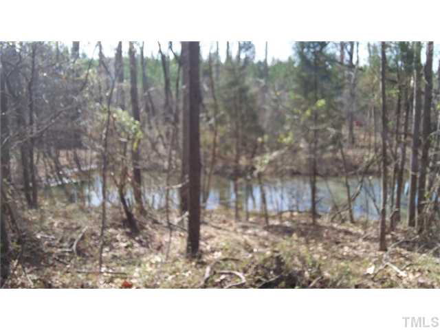 2066 Hester Road Creedmoor, NC 27522 - Photo 8 of 22 Gallery Image 8