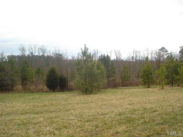 2066 Hester Road Creedmoor, NC 27522 - Photo 10 of 22 Gallery Image 10