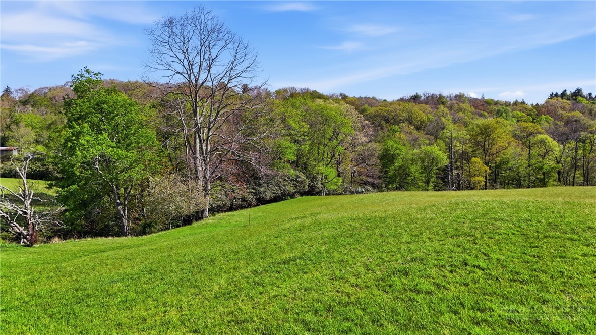 Sampson Road Boone, NC 28607 - Photo 7 of 13
