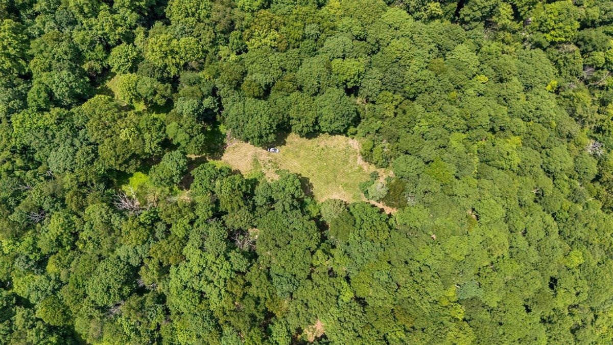Lot 19-20 Hidden Hill Road Stanley, VA 22851 - Photo 4 of 20