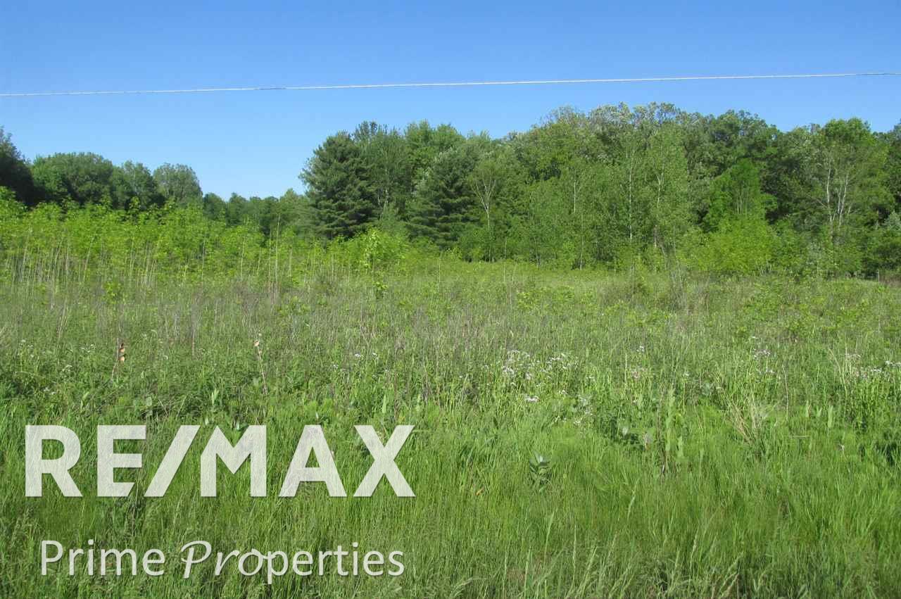 South Beyer Road Birch Run, MI 48415 - Photo 2 of 3