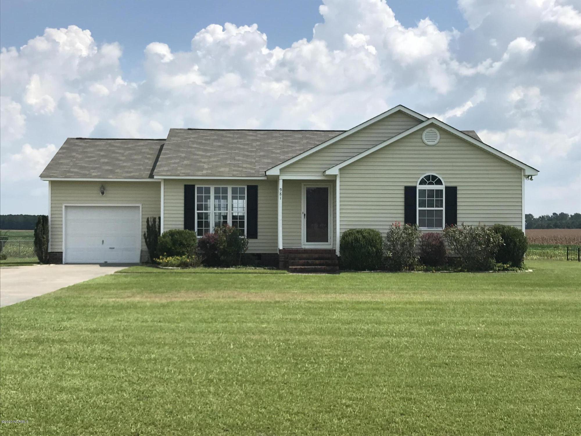 981 Aspen Ridge Court Deep Run, NC 28525 - Photo 1 of 21 Front View