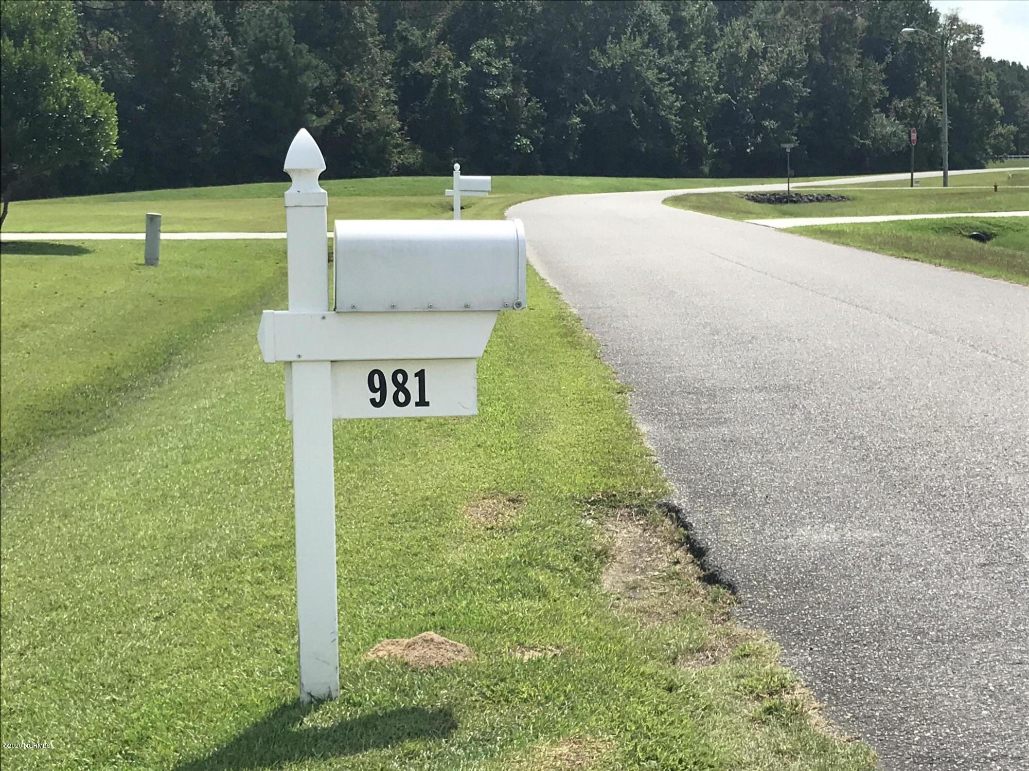 981 Aspen Ridge Court Deep Run, NC 28525 - Photo 20 of 21 Street View