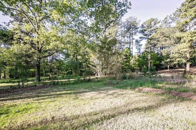 a view of a backyard with large trees