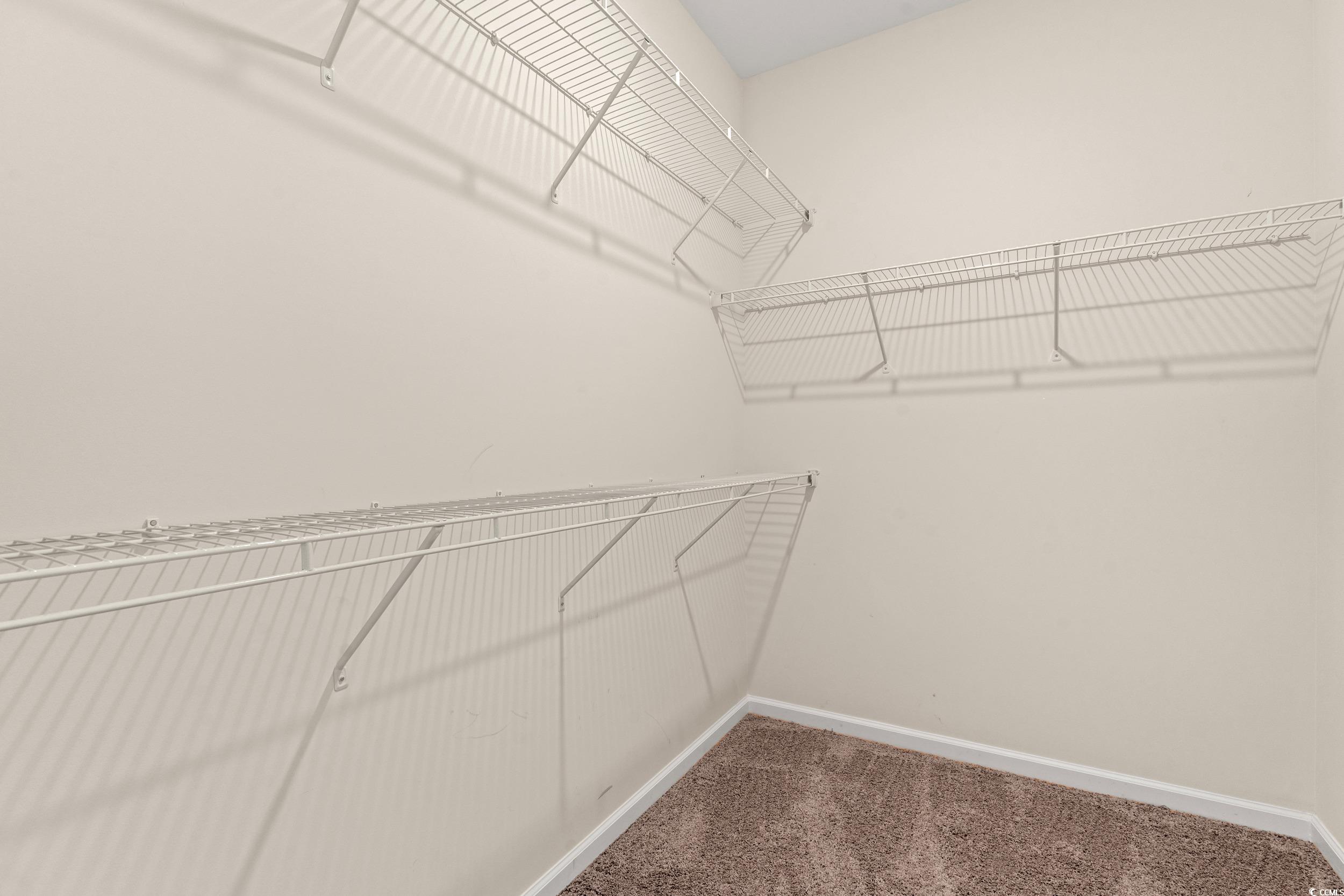 280 Palm Terrace Loop Conway, SC 29526 - Photo 20 of 29 Walk in closet featuring carpet flooring