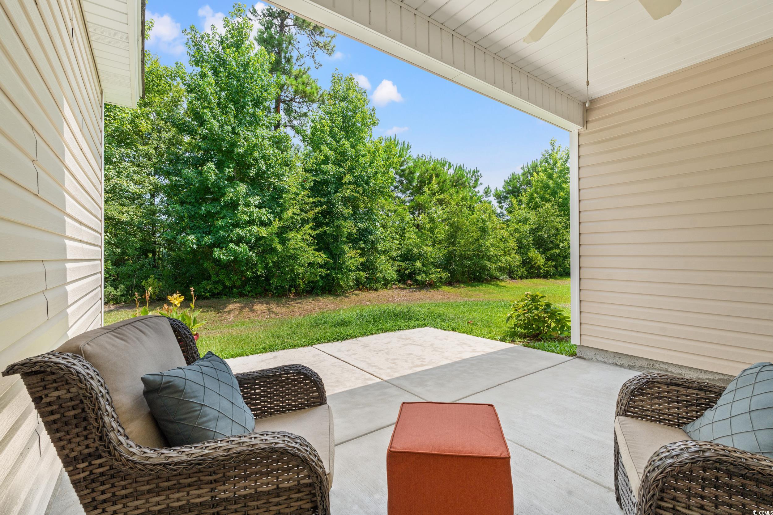 280 Palm Terrace Loop Conway, SC 29526 - Photo 6 of 29 View of patio featuring ceiling fan