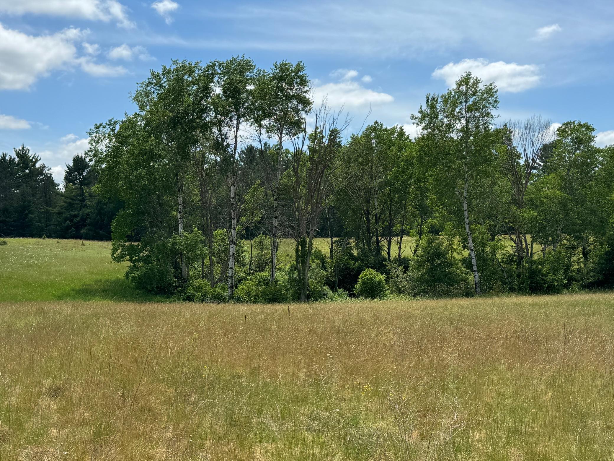 6398 Fred Tripp Road Springbrook, WI 54875 - Photo 28 of 30