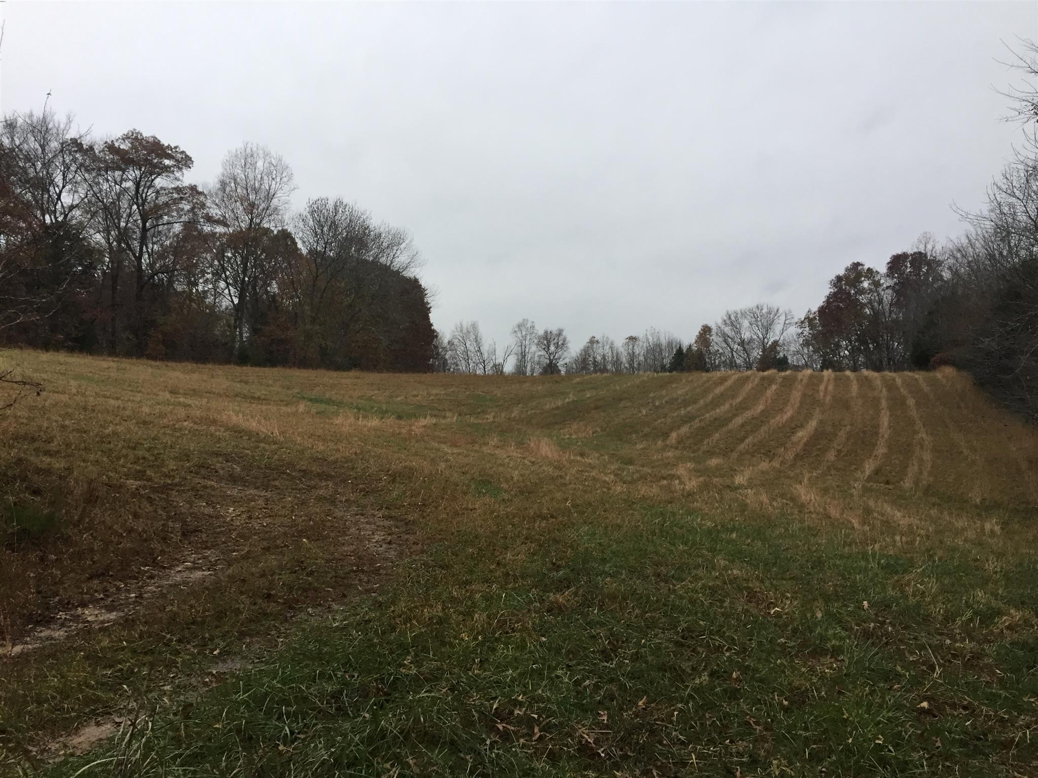 0 Hummingbird Meadows Palmyra, TN 37142 - Photo 1 of 2 Gallery Image 1