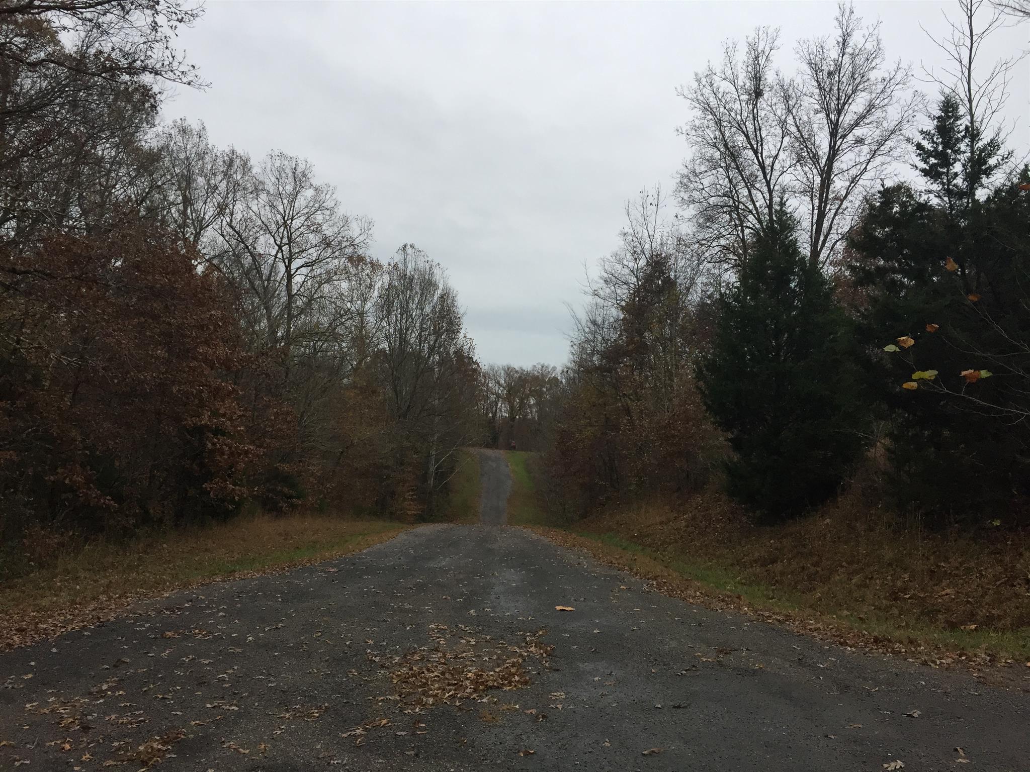 0 Hummingbird Meadows Palmyra, TN 37142 - Photo 2 of 2 Gallery Image 2