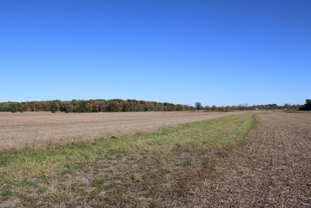 0 Panhandle Road Delaware, OH 43015 - Photo 4 of 7 1c
