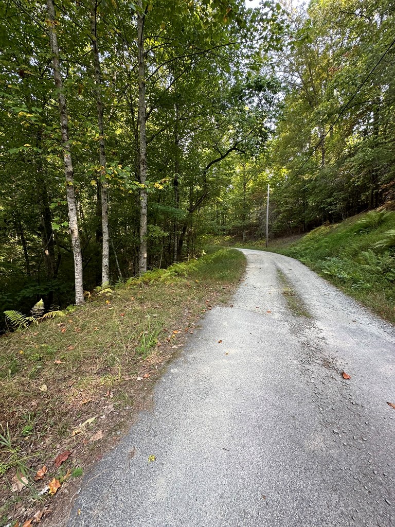 2 Kyle-arp Blue Ridge Blue Ridge, GA 30513 - Photo 14 of 39 Gallery Image 14