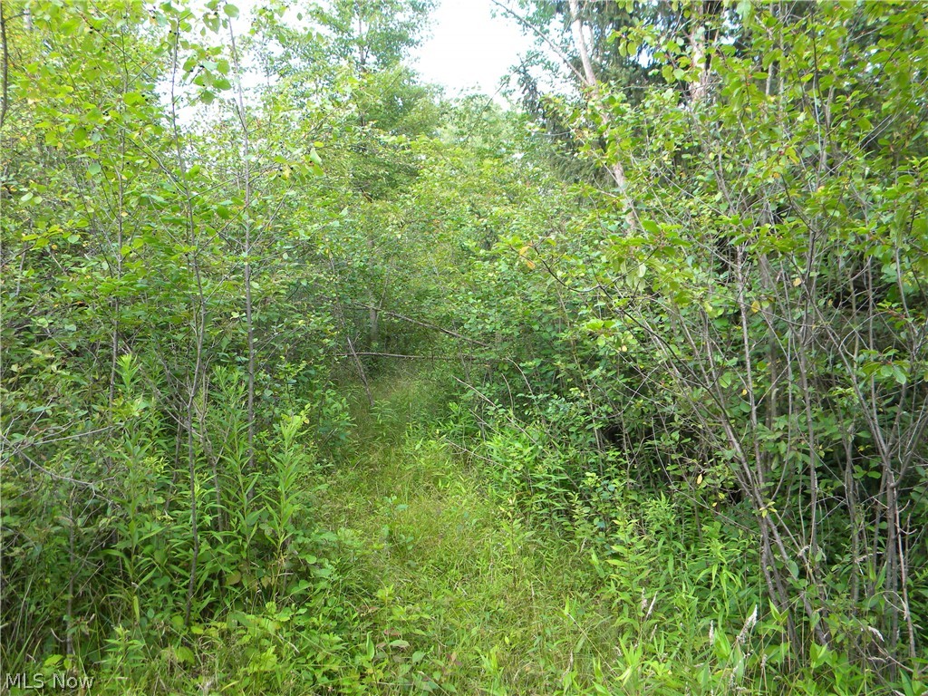Hallock Young Warren, OH 44481 - Photo 5 of 5 There are overgrown trails throughout the property