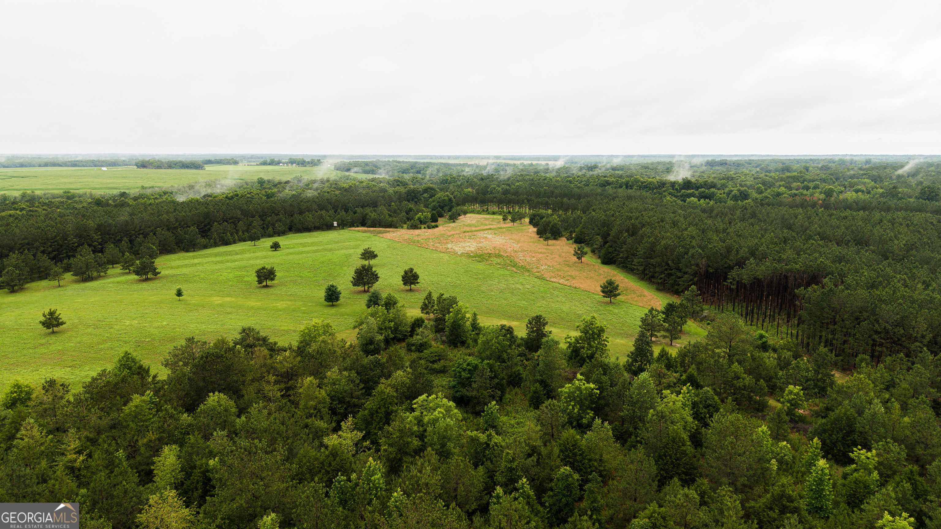 990 Highway 49 Americus, GA 31719 - Photo 104 of 121