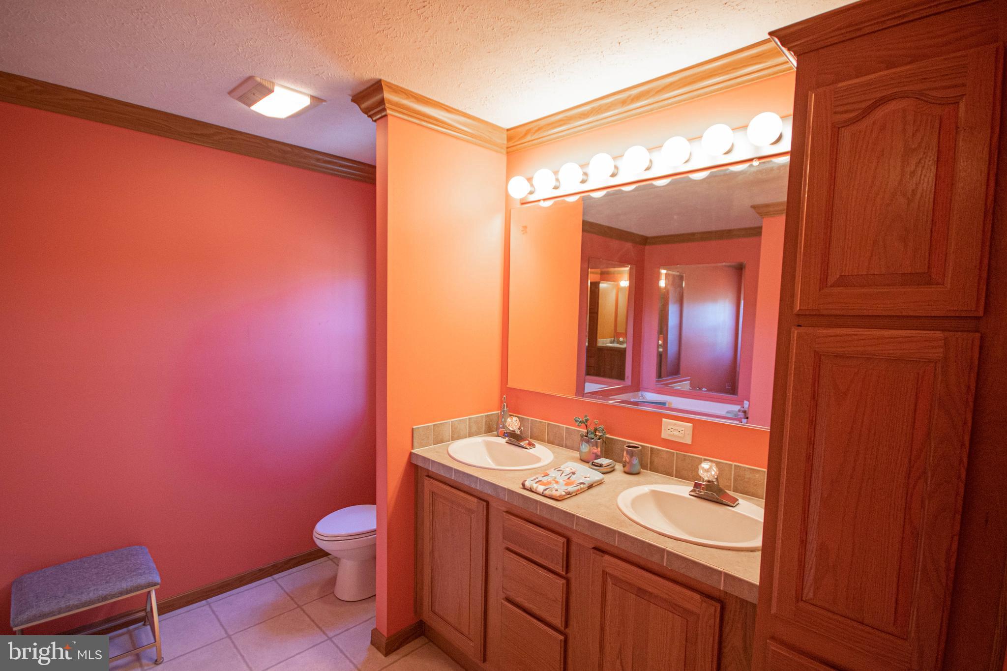 2603 Elsey Road Nanticoke, MD 21840 - Photo 22 of 47 Primary bath