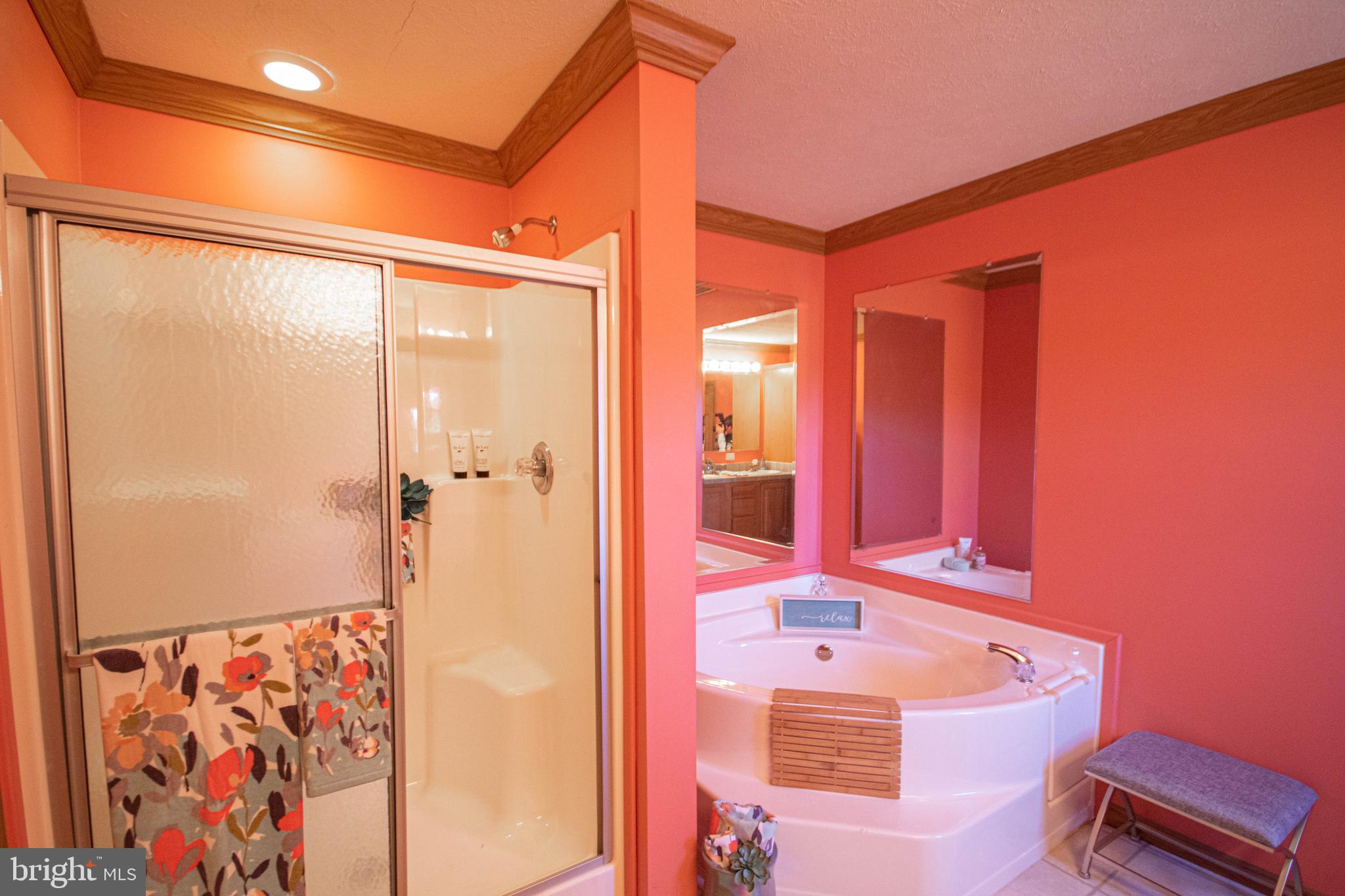 2603 Elsey Road Nanticoke, MD 21840 - Photo 23 of 47 Primary bath