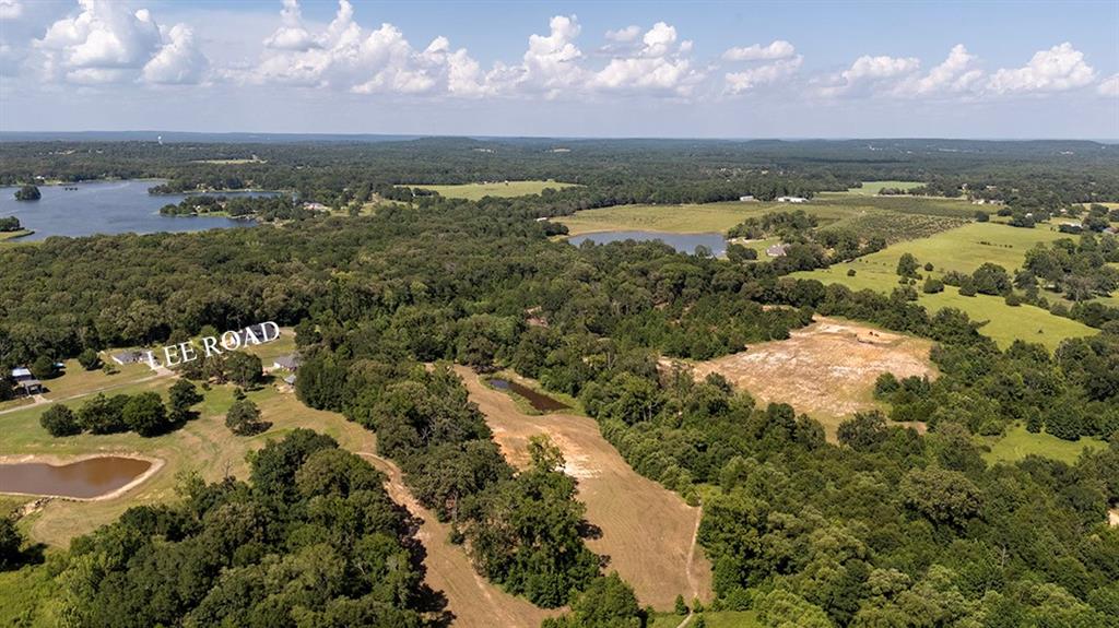 Tbd Lee Road Murchison, TX 75778 - Photo 5 of 7
