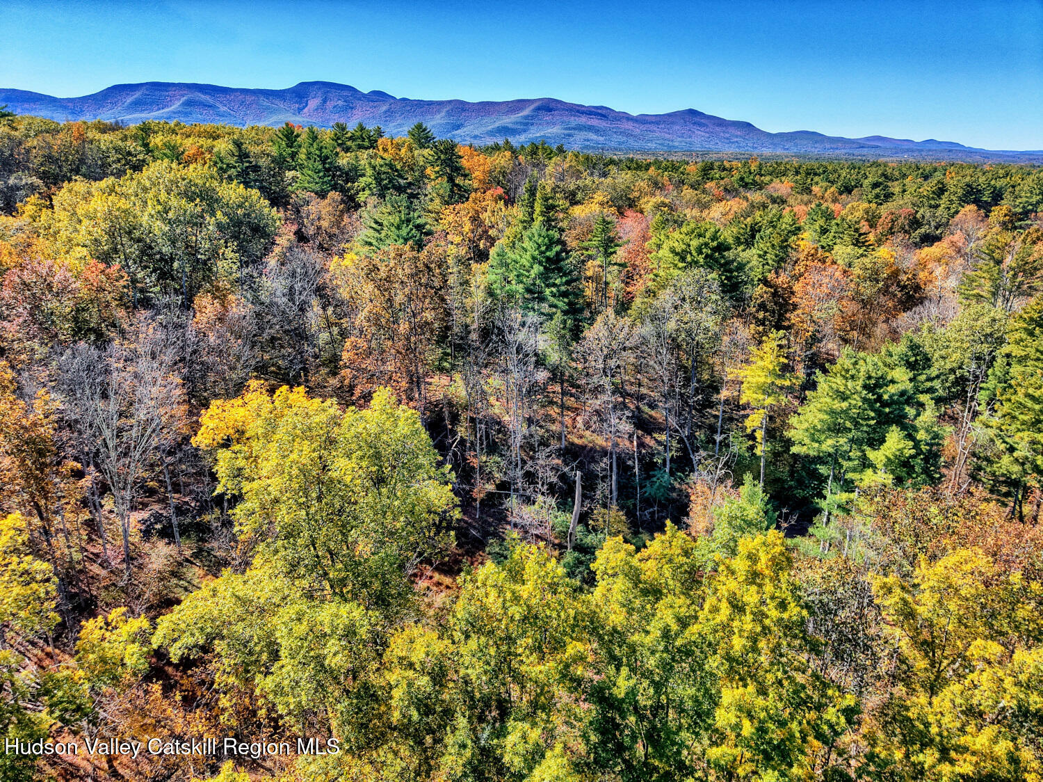 626 Bross Street Cairo, NY 12413 - Photo 73 of 78 a view of a forest with mountains in the background