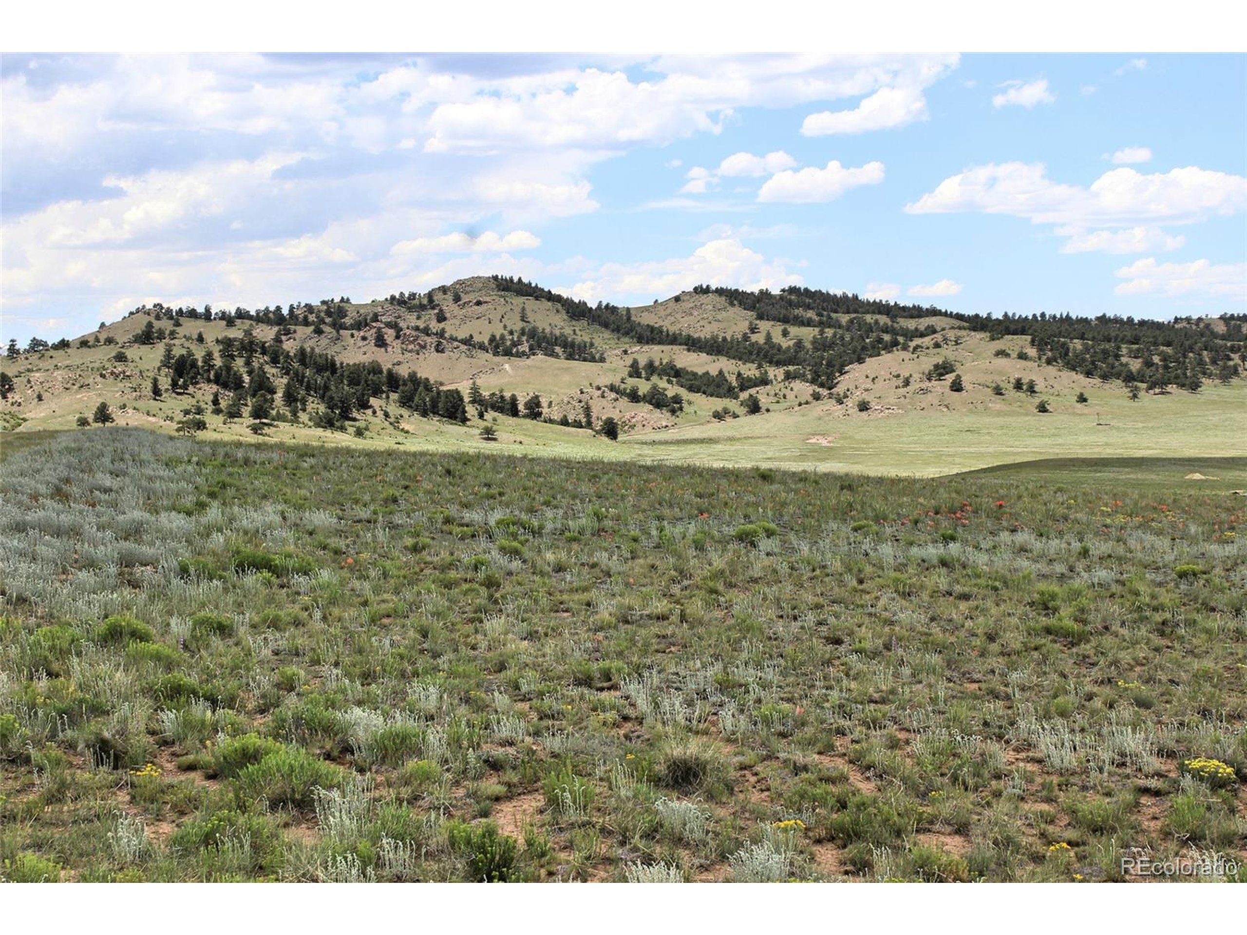 5761 Coyotero Road Hartsel, CO 80449 - Photo 1 of 18 Gallery Image 1