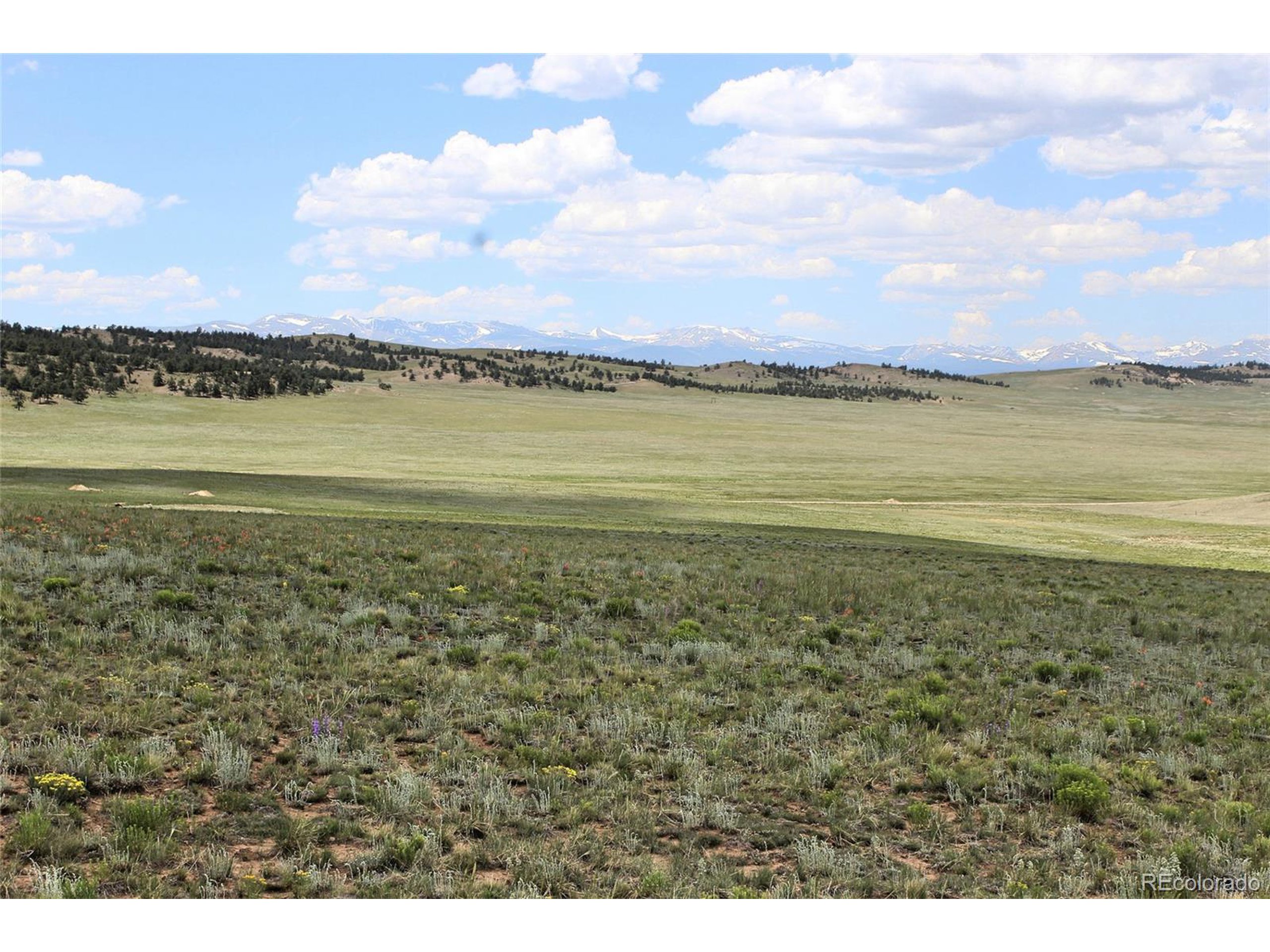 5761 Coyotero Road Hartsel, CO 80449 - Photo 2 of 18 Gallery Image 2