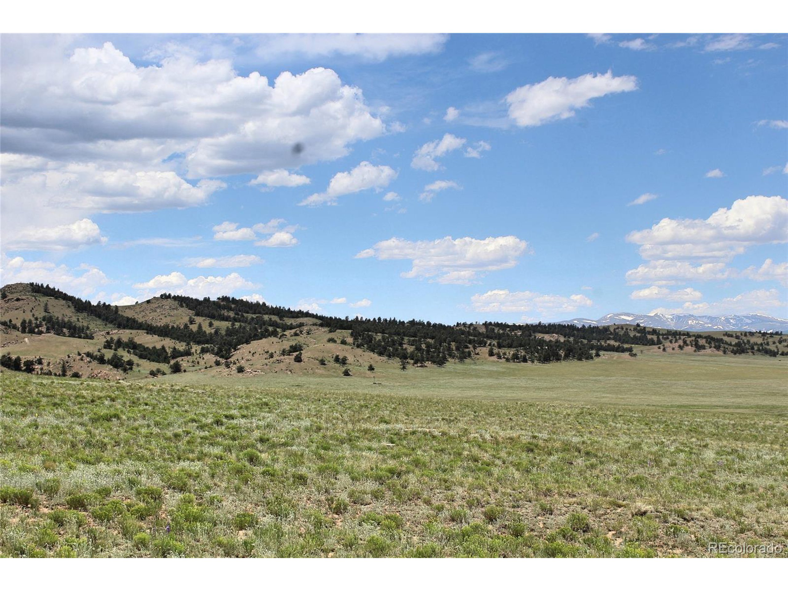 5761 Coyotero Road Hartsel, CO 80449 - Photo 3 of 18 Gallery Image 3