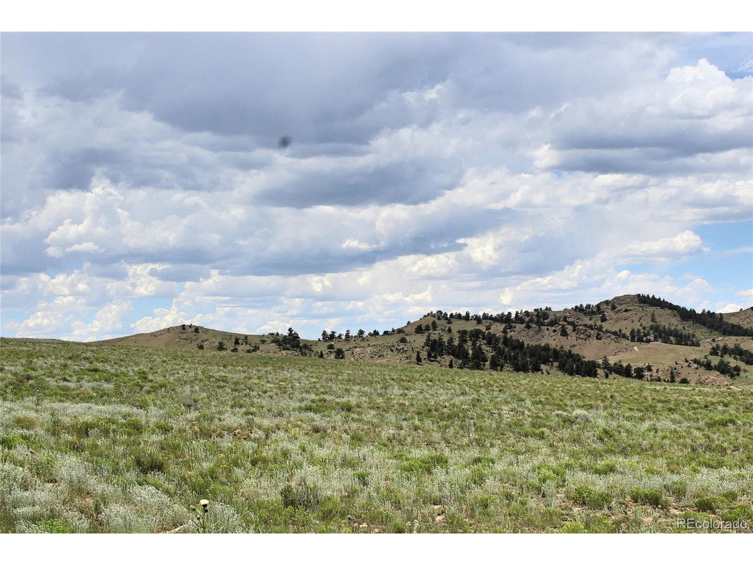 5761 Coyotero Road Hartsel, CO 80449 - Photo 5 of 18 Gallery Image 5