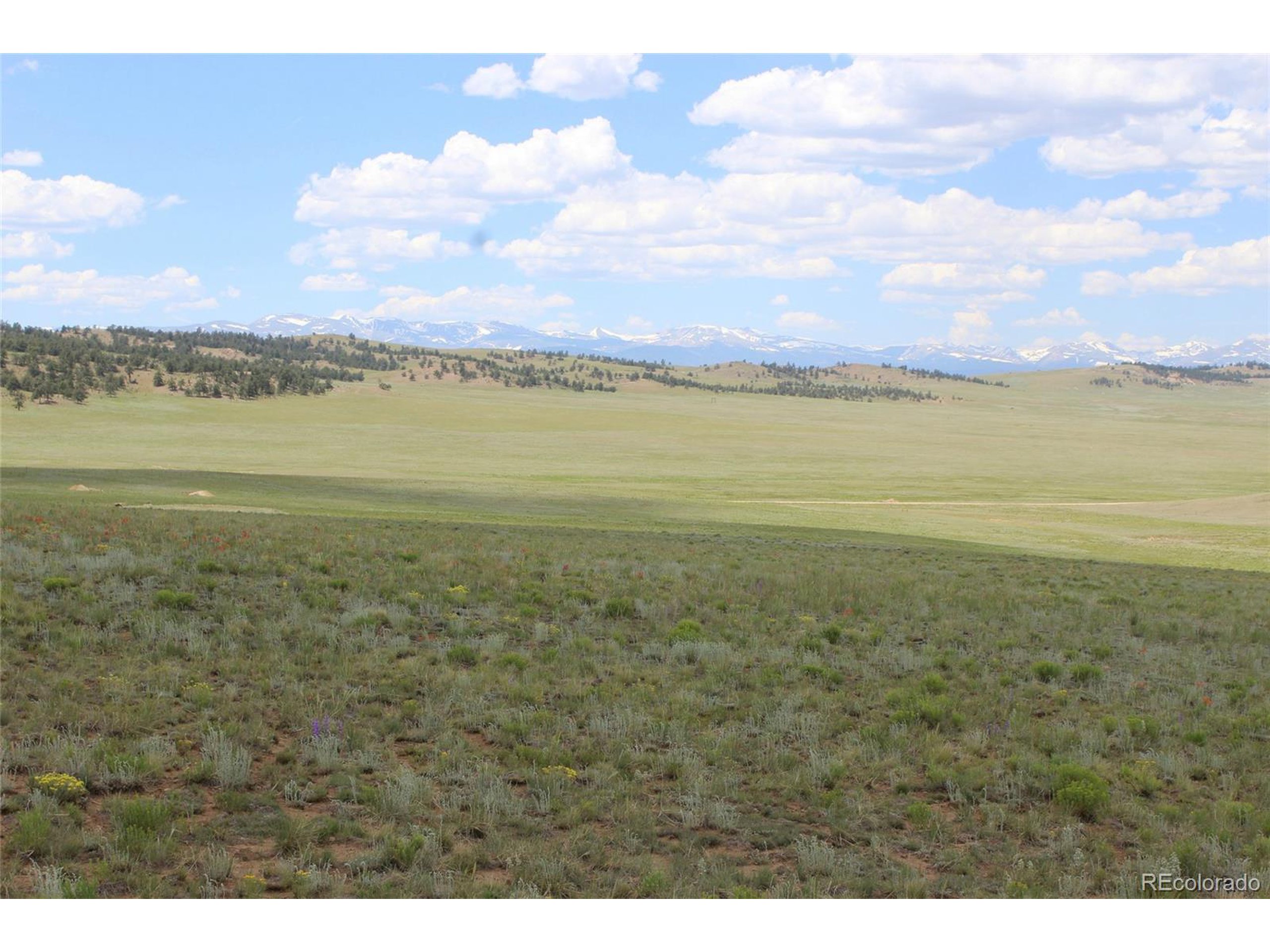 5761 Coyotero Road Hartsel, CO 80449 - Photo 6 of 18 Gallery Image 6