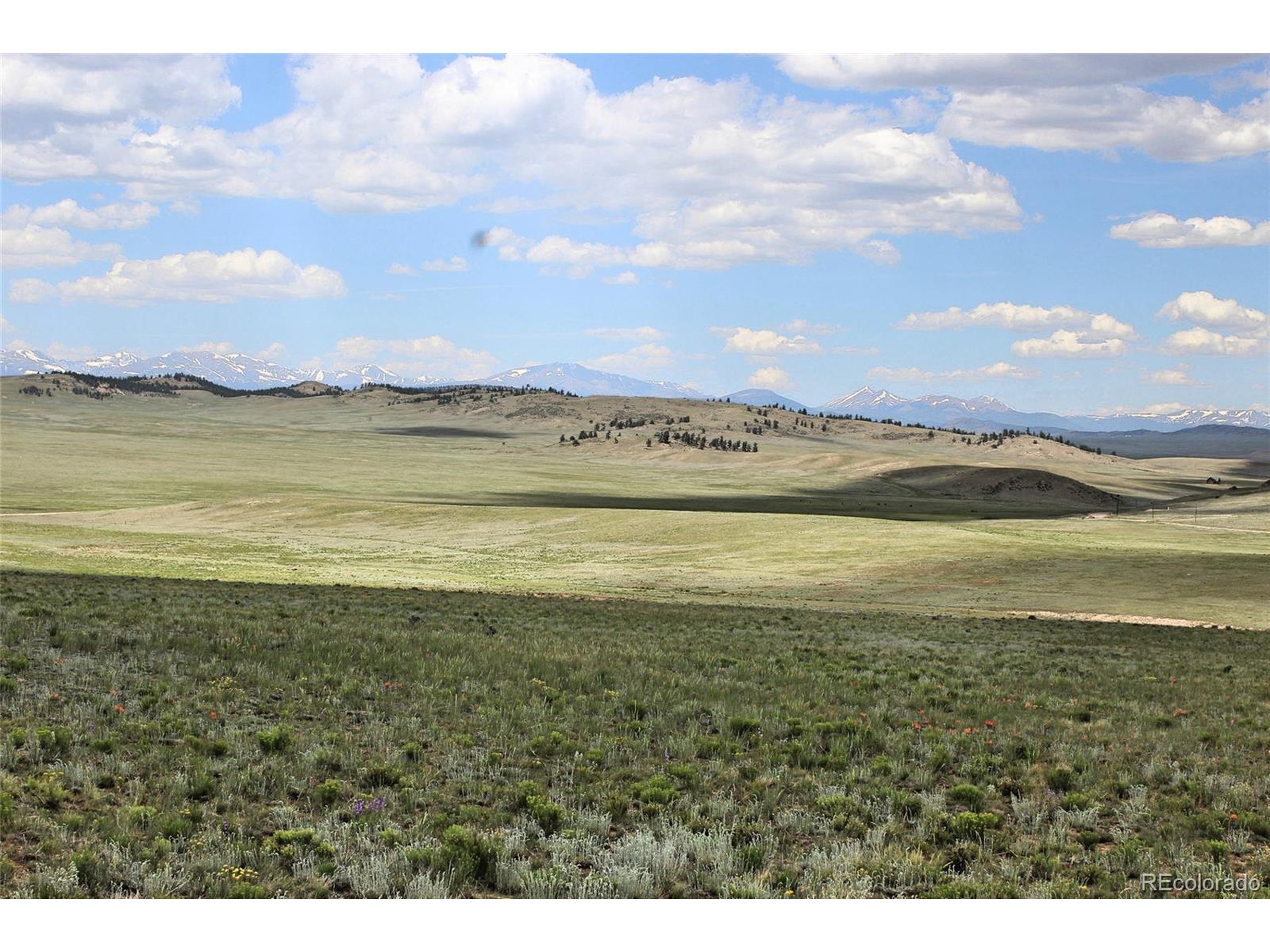 5761 Coyotero Road Hartsel, CO 80449 - Photo 7 of 18 Gallery Image 7