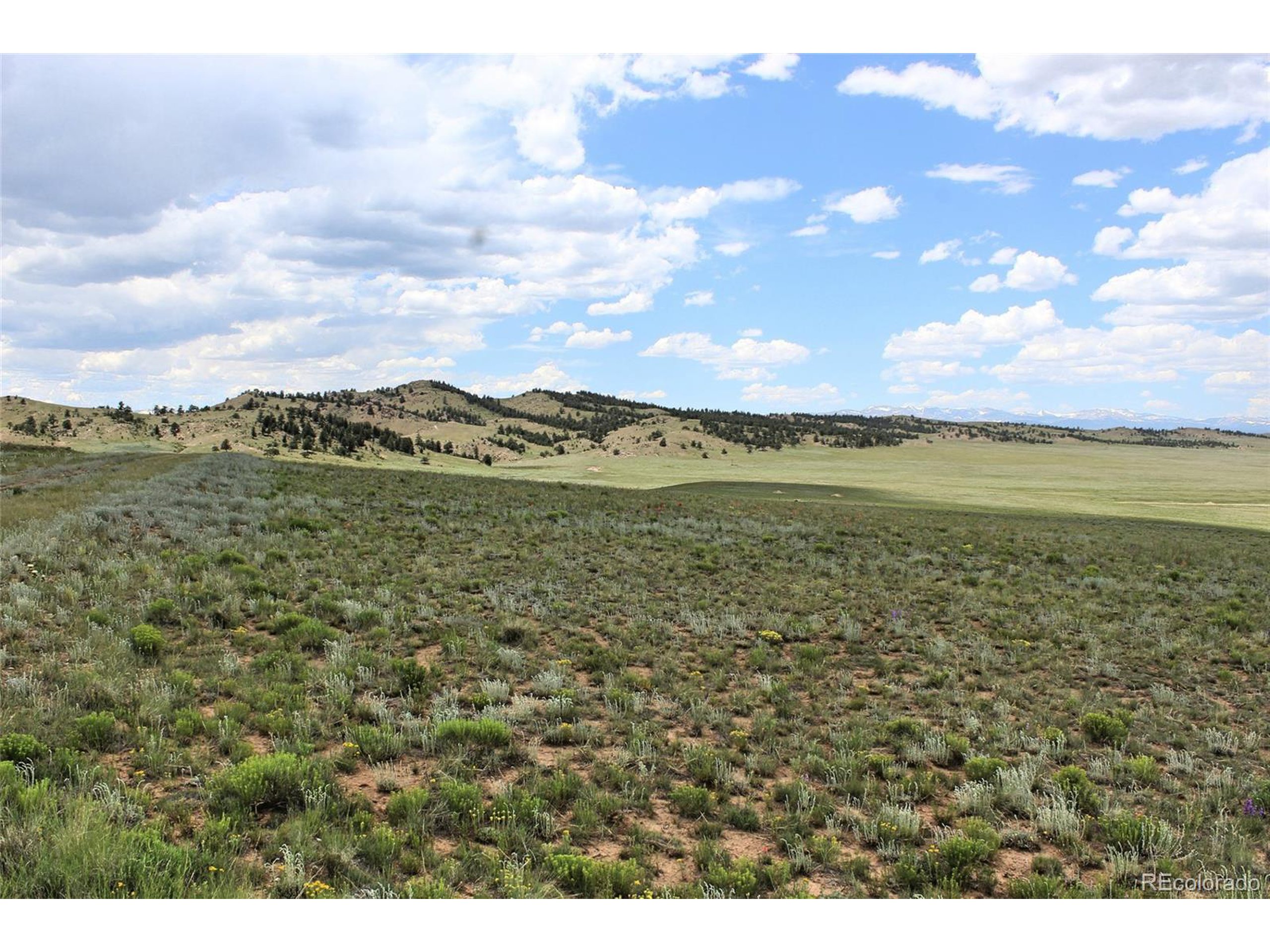 5761 Coyotero Road Hartsel, CO 80449 - Photo 8 of 18 Gallery Image 8