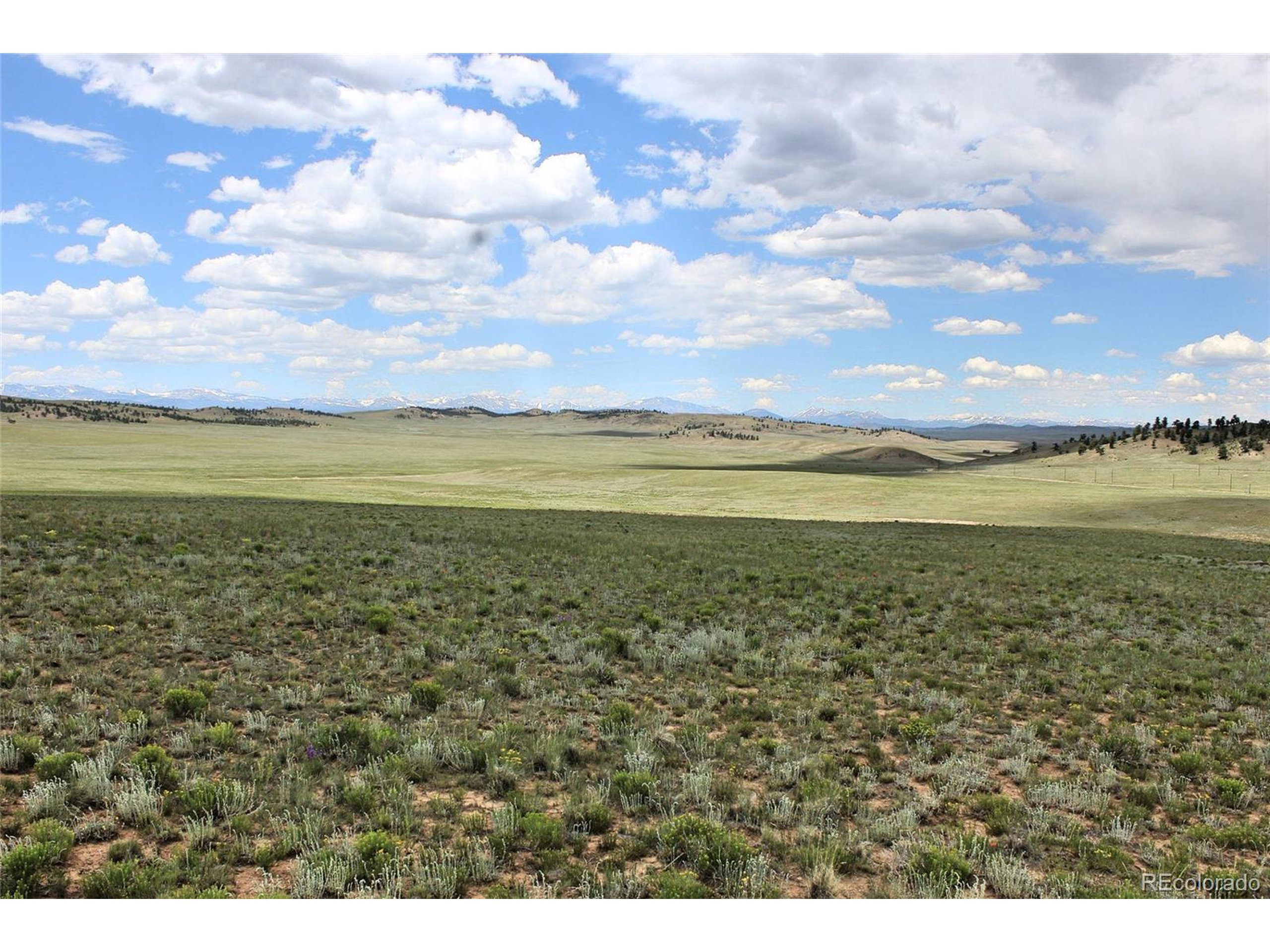 5761 Coyotero Road Hartsel, CO 80449 - Photo 9 of 18 Gallery Image 9