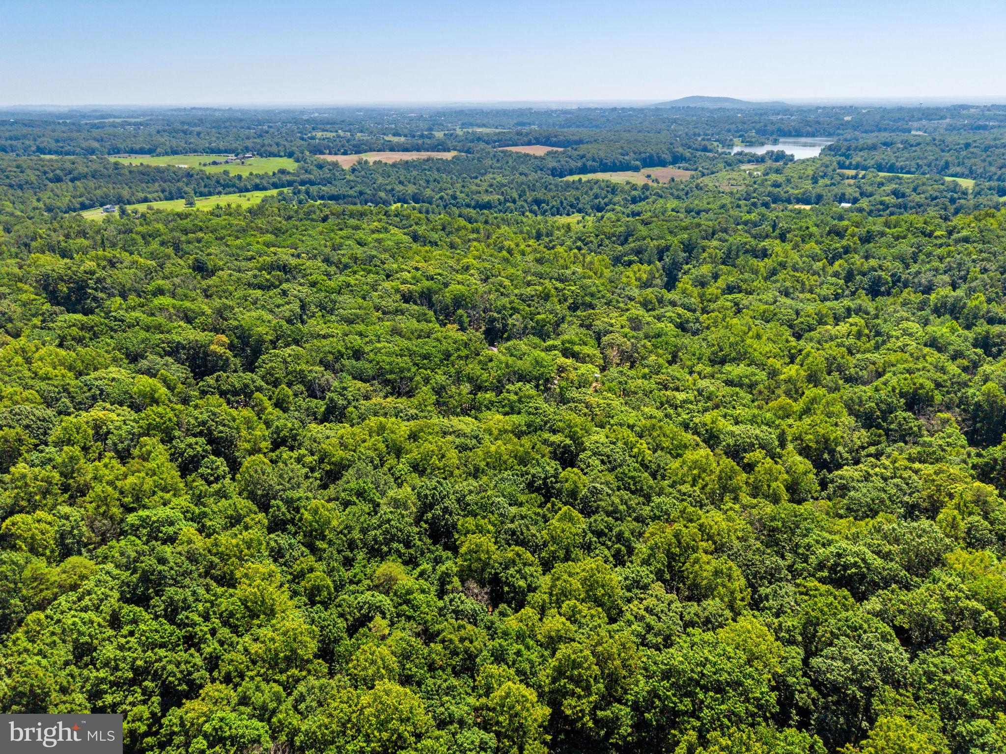 10275 Mountain Run Lake Road Culpeper, VA 22701 - Photo 89 of 89