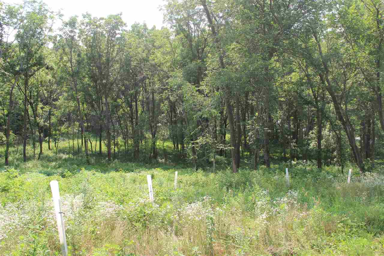 52 Solon Road Solon, IA 52333 - Photo 14 of 31 Gallery Image 14