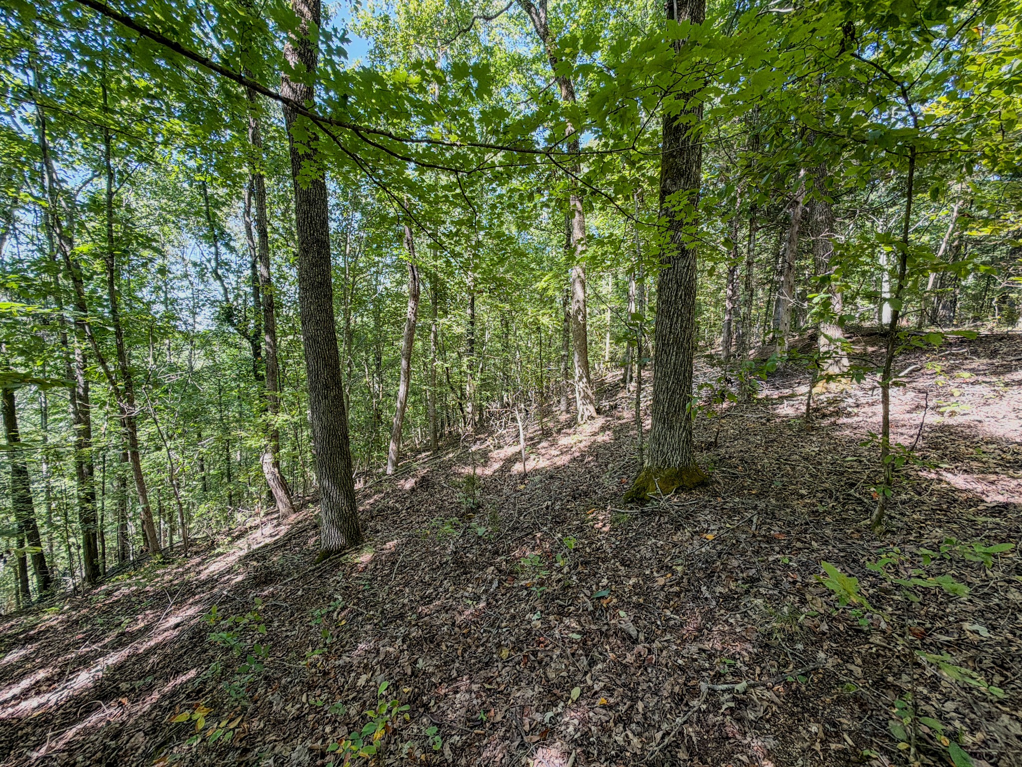 2195 Whiteoak Road East Linden, TN 37096 - Photo 44 of 56 Gallery Image 44