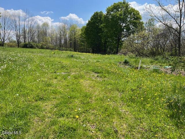 296 Evergreen Road Carlisle, NY 12043 - Photo 4 of 17 IMG_5340