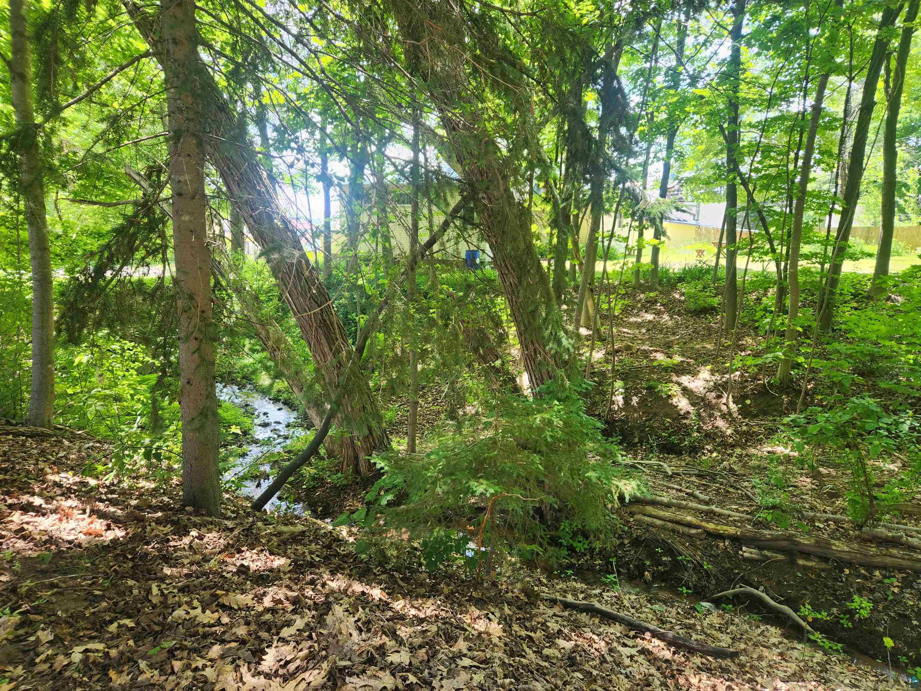17 8th Street Bayfield, WI 54814 - Photo 32 of 37 water flowing in ravine