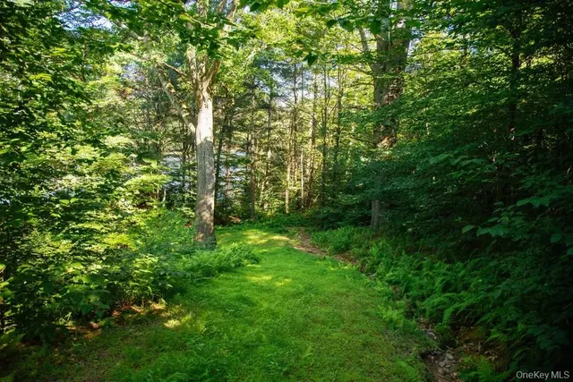 a view of a yard with plants and large trees