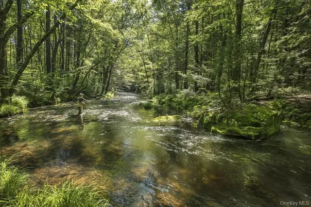 a view of outdoor space and trees