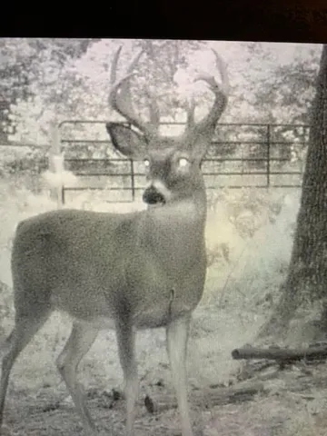 $550,000 | 23616 15 Mile Road, Big Rapids, MI 49307