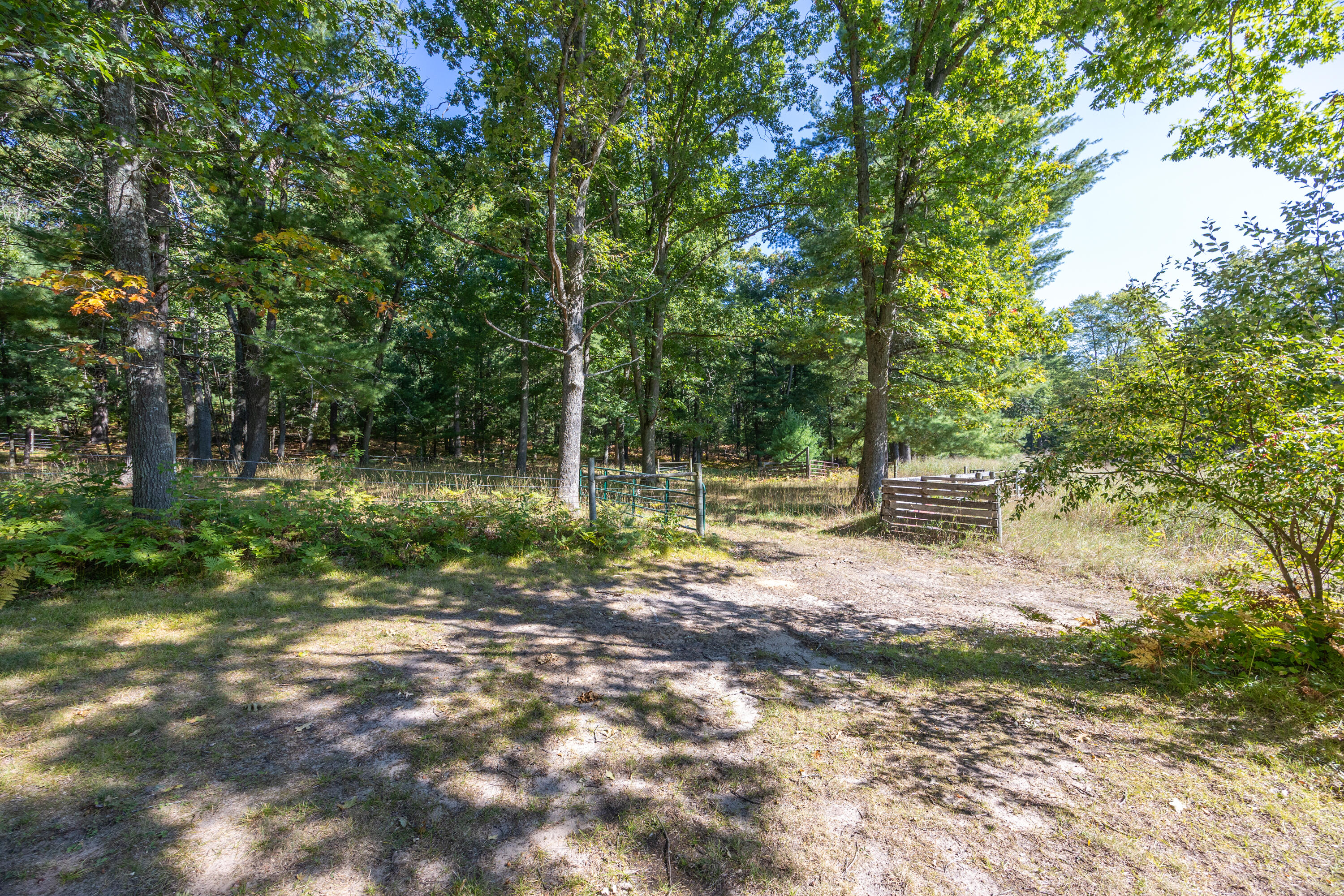 23616 15 Mile Road Big Rapids, MI 49307 - Photo 46 of 79 5L7A2820