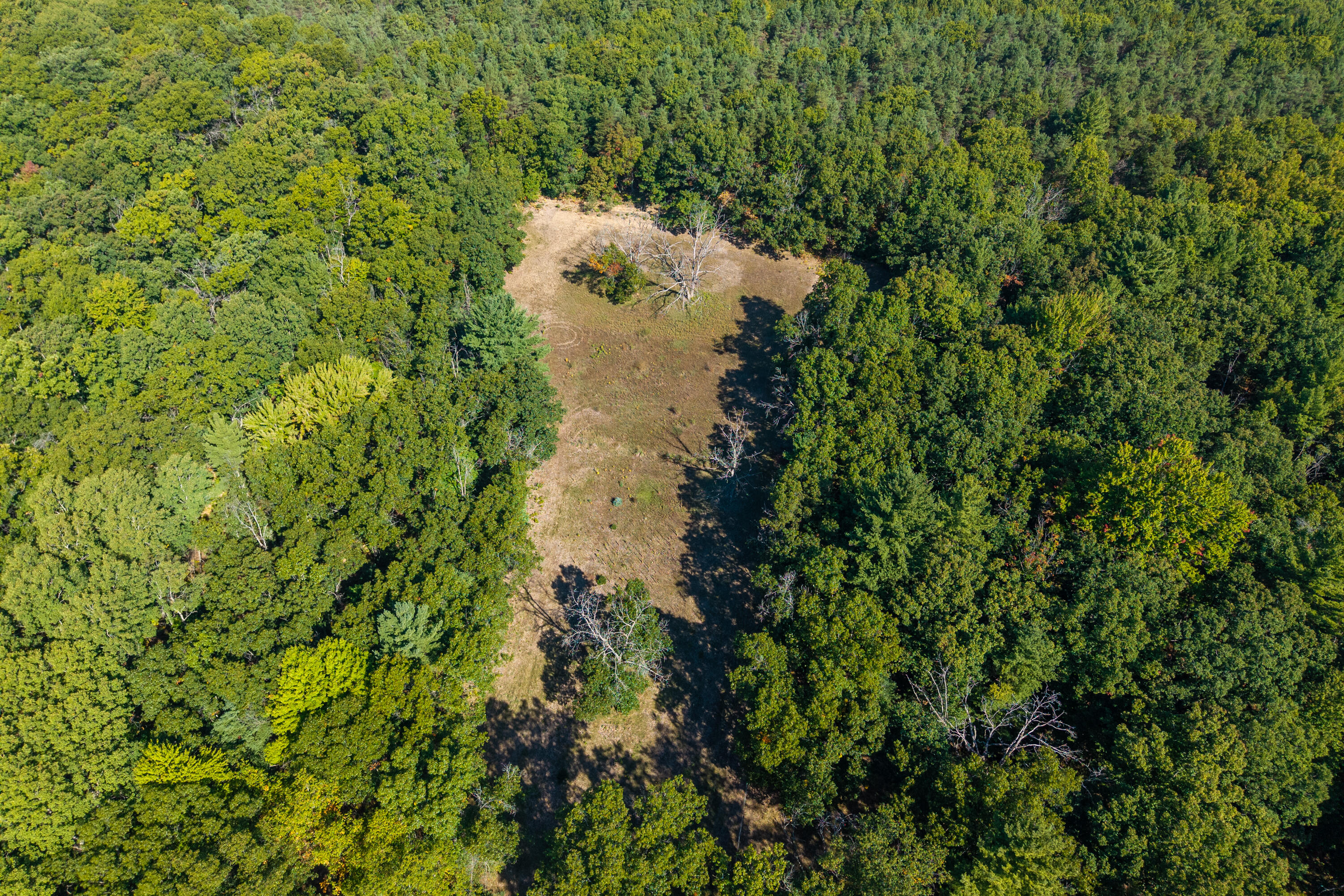 23616 15 Mile Road Big Rapids, MI 49307 - Photo 53 of 79 DJI_20250915231557_0047_D