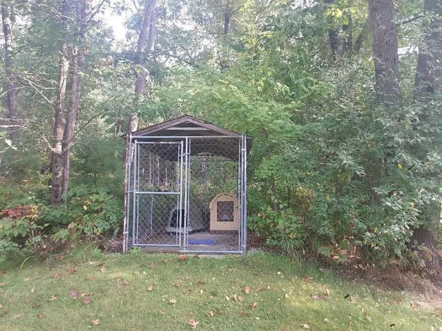 $550,000 | 23616 15 Mile Road, Big Rapids, MI 49307