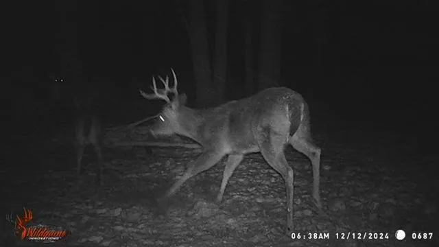 $550,000 | 23616 15 Mile Road, Big Rapids, MI 49307