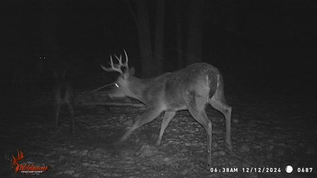 23616 15 Mile Road Big Rapids, MI 49307 - Photo 70 of 79 23616 15 Mile Trail Photo 9