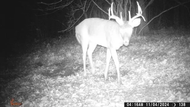 $550,000 | 23616 15 Mile Road, Big Rapids, MI 49307